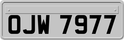 OJW7977