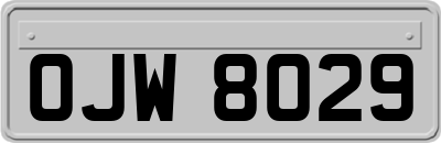 OJW8029