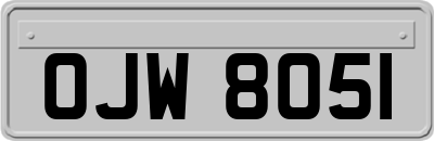 OJW8051