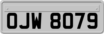 OJW8079