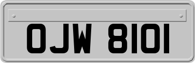 OJW8101