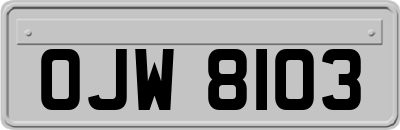 OJW8103