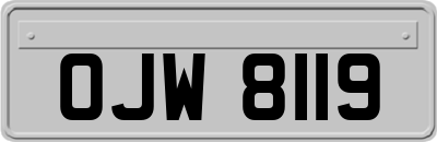 OJW8119