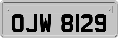 OJW8129