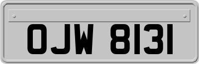 OJW8131