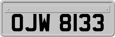 OJW8133