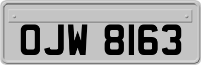 OJW8163