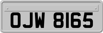 OJW8165