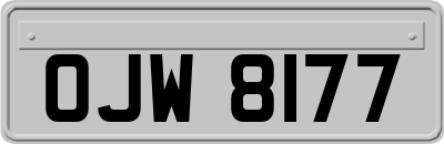 OJW8177