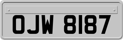 OJW8187
