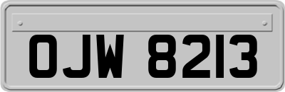 OJW8213