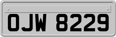 OJW8229