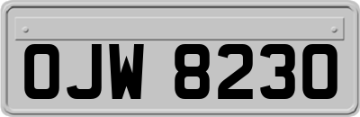 OJW8230