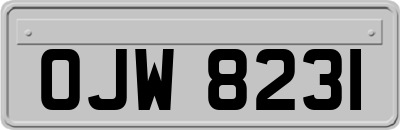 OJW8231
