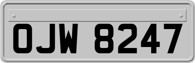 OJW8247