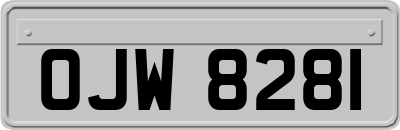 OJW8281