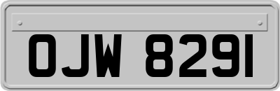 OJW8291