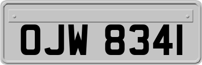 OJW8341