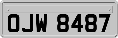 OJW8487