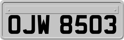 OJW8503