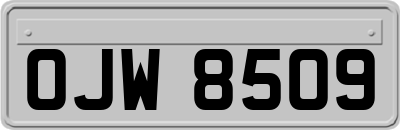 OJW8509