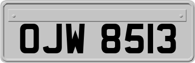 OJW8513