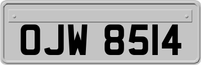 OJW8514