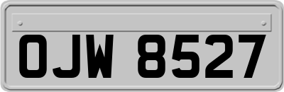 OJW8527
