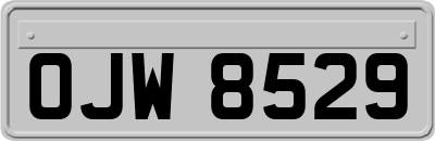 OJW8529