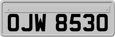 OJW8530