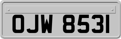 OJW8531