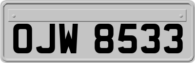 OJW8533