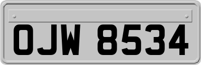 OJW8534