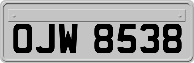 OJW8538