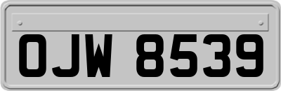 OJW8539