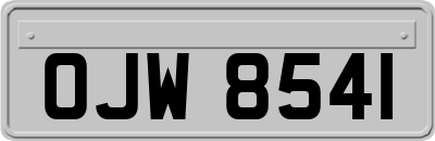OJW8541