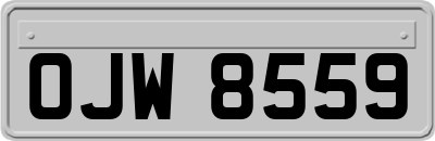 OJW8559