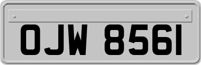 OJW8561