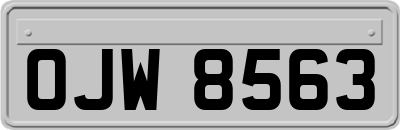 OJW8563