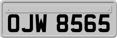 OJW8565
