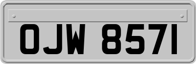 OJW8571