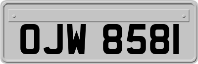 OJW8581