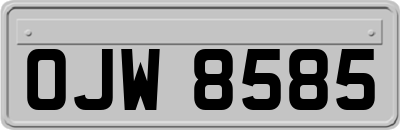 OJW8585