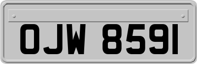 OJW8591