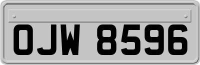OJW8596