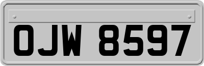 OJW8597