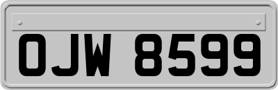 OJW8599