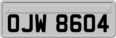 OJW8604