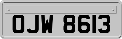 OJW8613