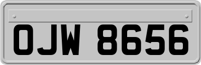 OJW8656